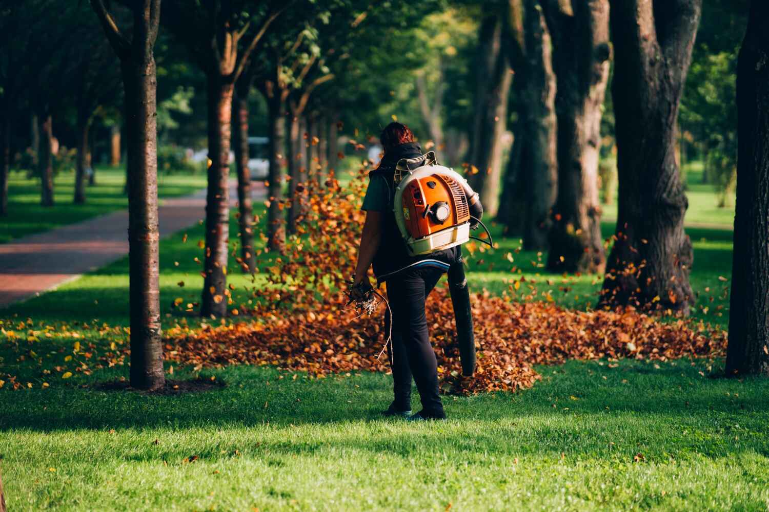 Trusted Fountain Hill, PA Tree Service Experts